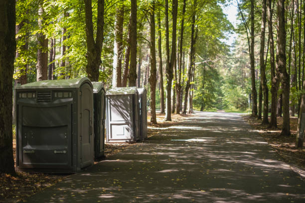 Best Porta potty rental near me  in Mcgaheysville, VA